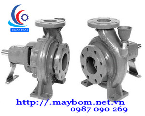 Máy bơm công nghiệp Ebara 60X80FSJA