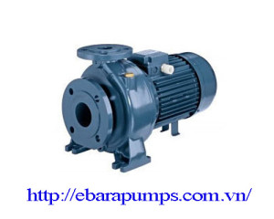 Máy bơm công nghiệp Ebara 3D