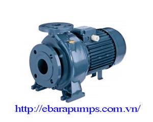 Máy bơm công nghiệp Ebara MD