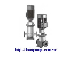 Máy bơm trục đứng Leo LVS