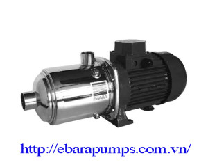 Máy bơm trục ngang Ebara Matrix