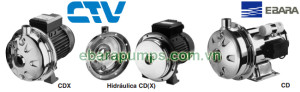 Máy bơm Ebara đầu inox CD-CDX