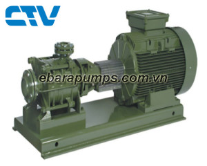 Máy bơm trục ngang đa tầng cánh Saer TM