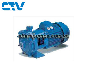 Máy bơm trục ngang Vertix VKB